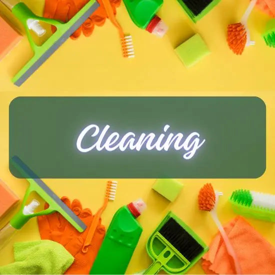 Essential Household Cleaning Items: Mop, Duster, Drain Cleaner, Shoe Brush, and Toilet Brush